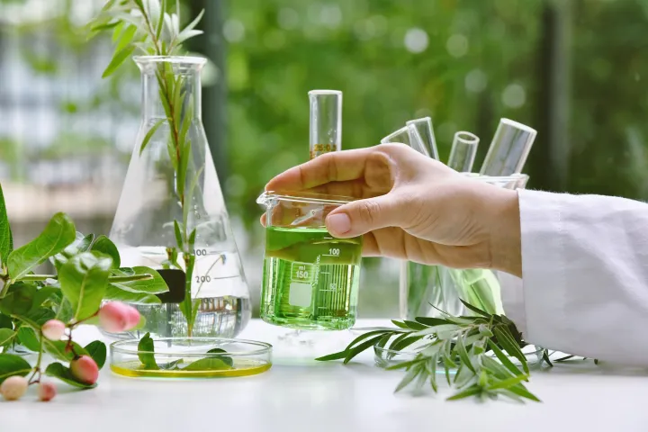 Botanical Extracts in Skincare: What Makes an Active Proven?