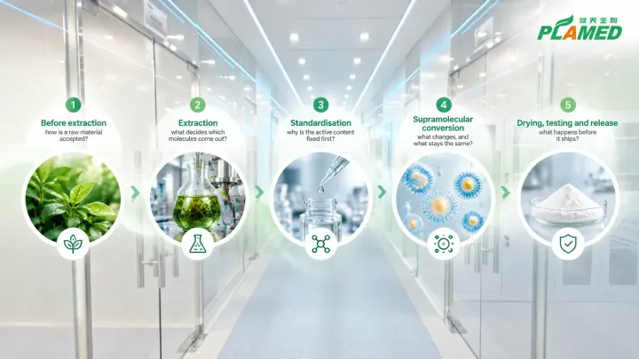 From Plant to Formulation: The 5 Stages of Botanical Cosmetic Ingredient Manufacturing