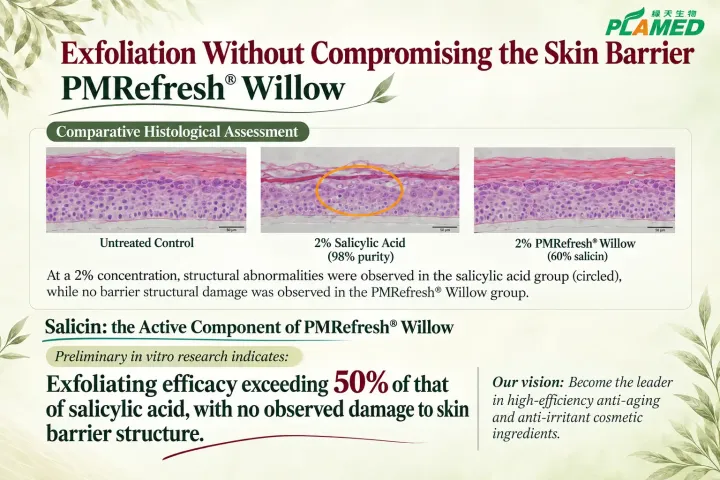 Exfoliation Without Barrier Damage: A New Approach to “Endogenous Skin Renewal”