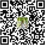 uploaded image