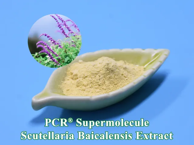 PCR® Supermolecule Scutellaria Baicalensis Extract