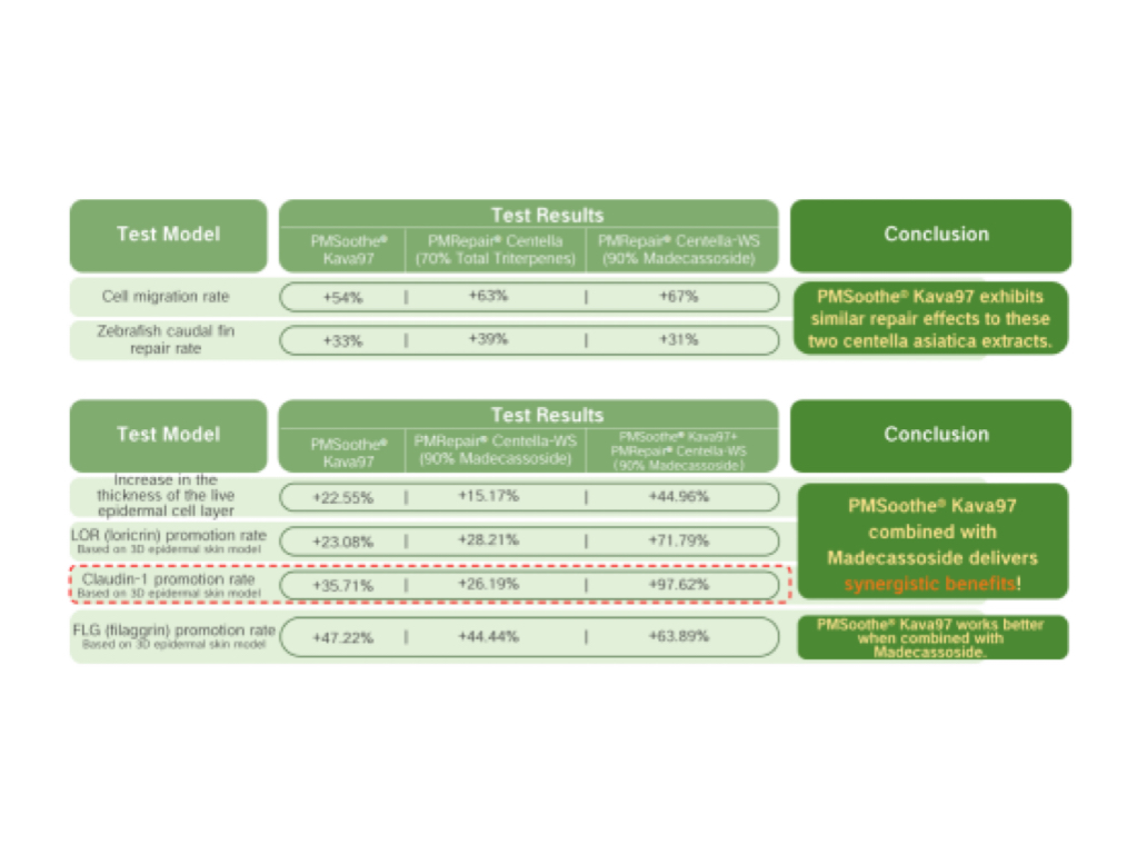 Skin Barrier Repair Actives Research