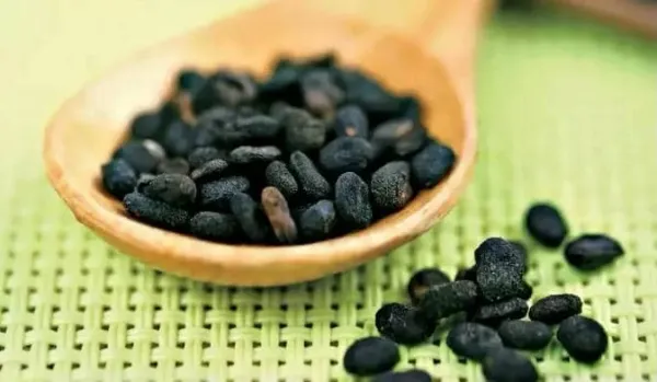 Bakuchiol Extract Manufacturer