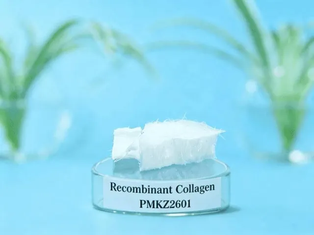 Recombinant Collagen
