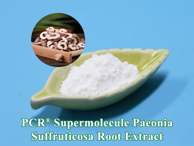 Oily Skin Ingredient PMOil-control® Pueraria