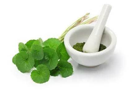 Centella Extract Skin Benefits in Cosmetics