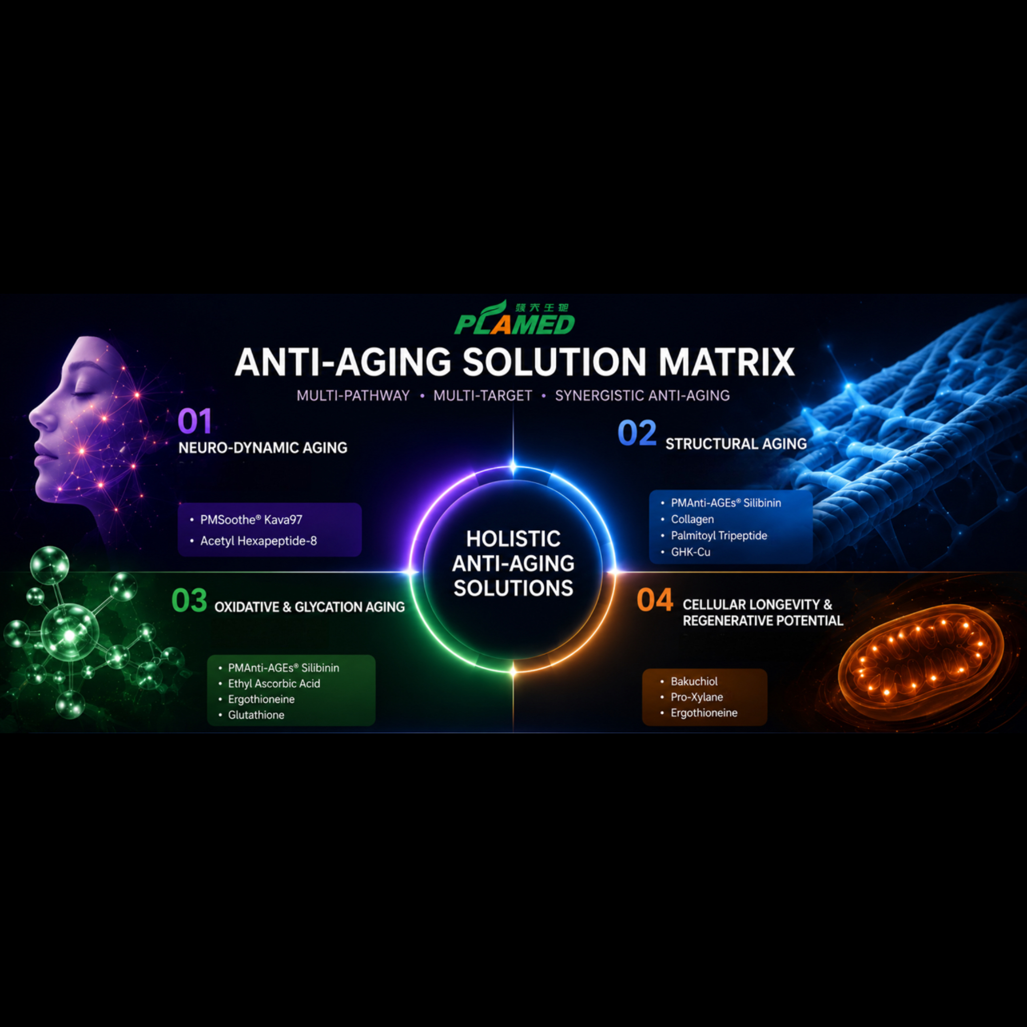 Anti-Aging Actives Research