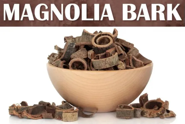 Magnolia Bark Extract Manufacturer