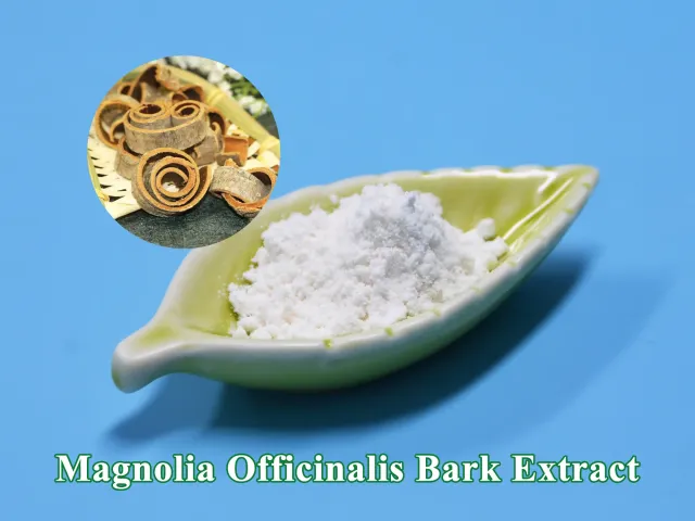 Magnolia Officinalis Bark Extract