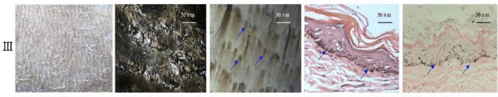 uploaded image